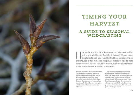 Mountain States Medicinal Plants