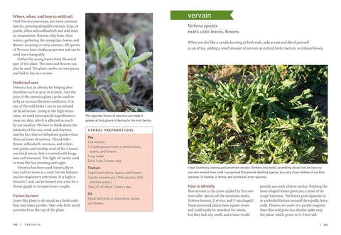 Mountain States Medicinal Plants