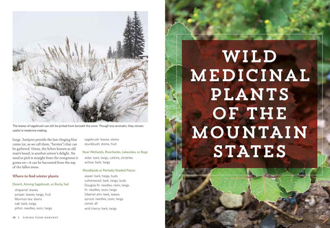 Mountain States Medicinal Plants