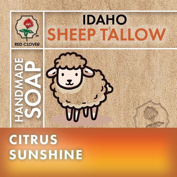 Citrus Sunshine - Sheep Tallow Soap