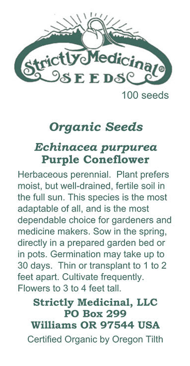 Coneflower, Purple  / Echinacea Seeds