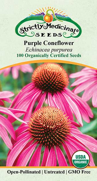 bulk echinacea seeds Coneflower, Purple / Echinacea Seeds