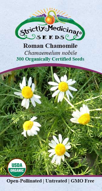 chamanthi flower seeds Chamomile, Roman Seeds