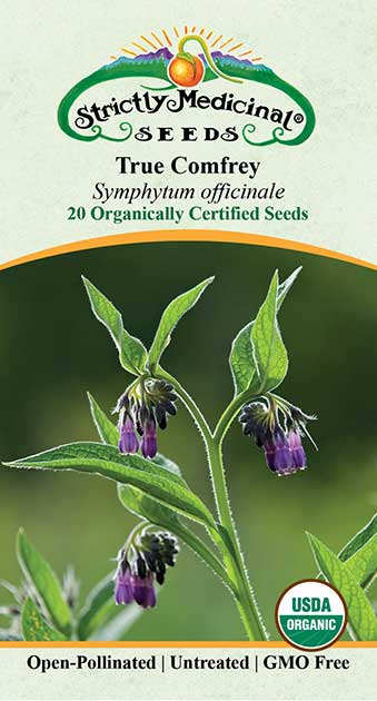 comfrey seeds or plants Comfrey, True Seeds