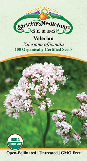 valerian flower seeds Valerian Seeds