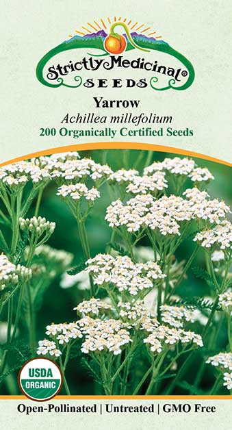 plant yarrow seeds Yarrow Seeds