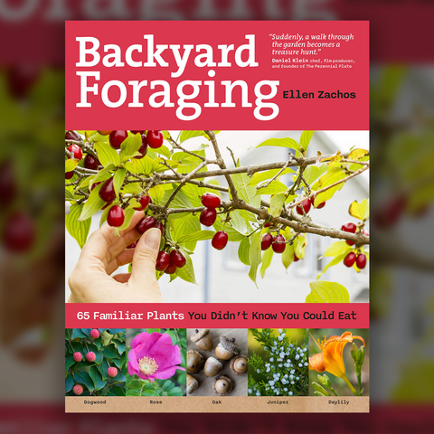 "Backyard Foraging" Paperback BOOK