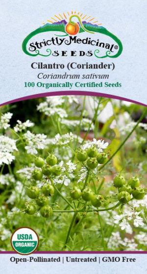 buy coriander seeds for planting Cilantro / Coriander Seeds