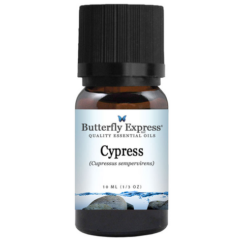 Cypress (Cupressus sempervirens) Essential Oil