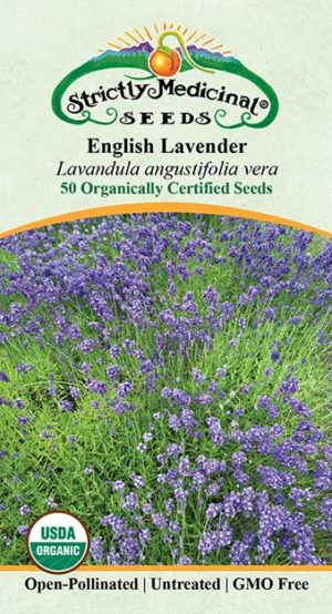 English Lavender Seeds, Lavandula angustifolia Great Lavender for Dried  Flowers