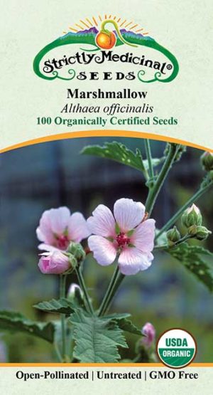 mallow plant seeds Marshmallow Seeds