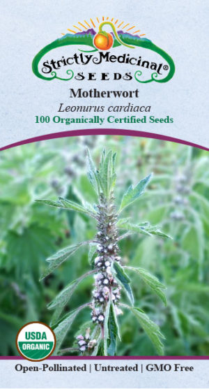 Motherwort Seeds