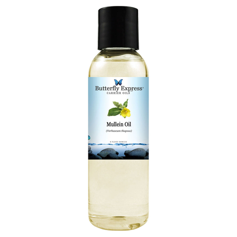 Mullein Infused Oil