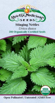 Nettles, Stinging Seeds