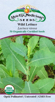 Wild Lettuce Seeds